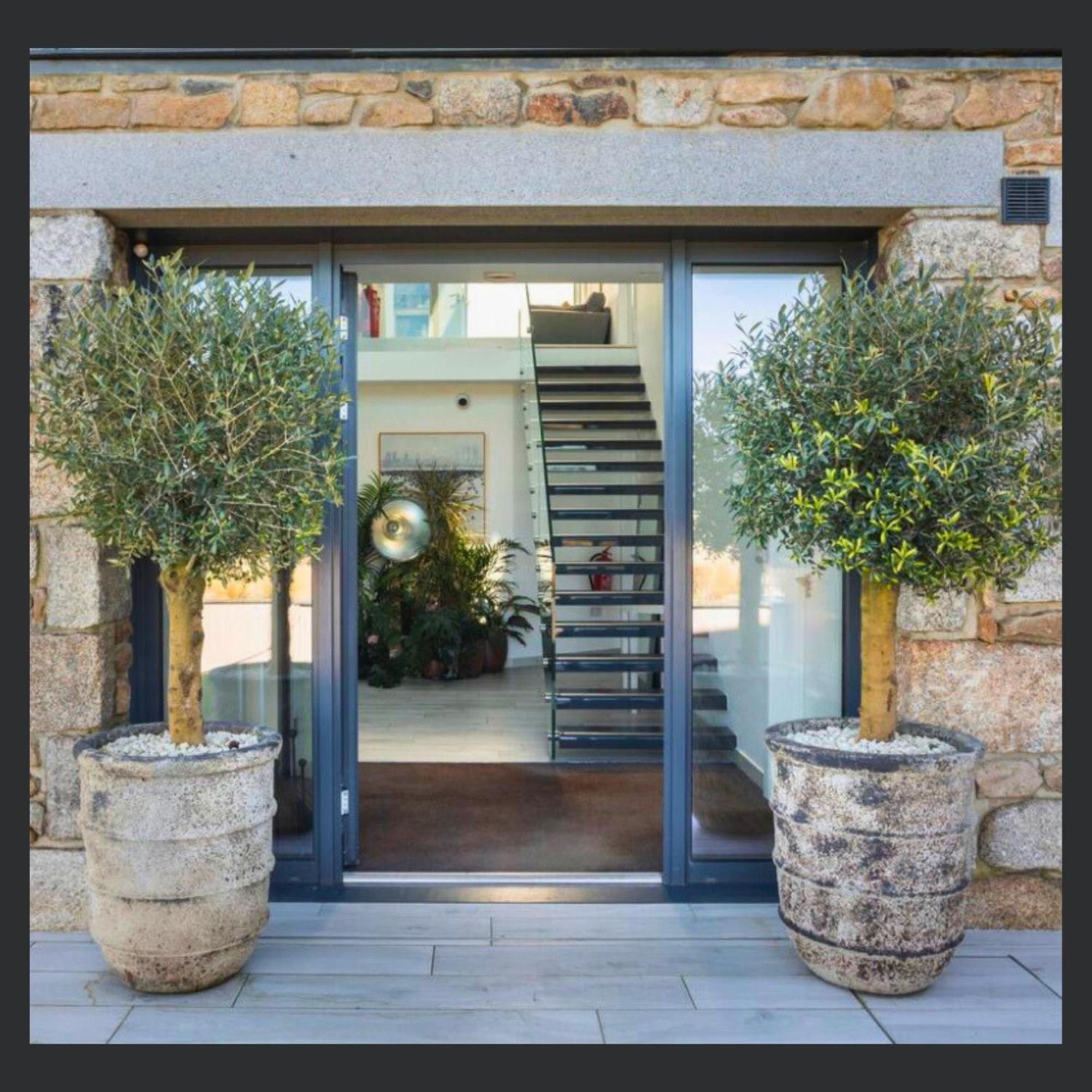 Uno St Ives - Luxury Serviced Accommodation Eksteriør billede